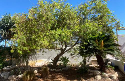 1era linea de playa VILLA SALES Cullera Marenyet - Foto 20