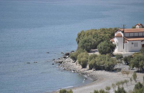 Chouzourakis Studios - Foto 58