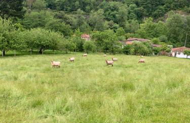 LA CASA AZUL, un oasis de calma, vistas impresionantes con PISCINA, SALTADOR, BARBACOA y acceso al río Asón - Foto 52