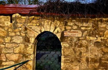 Delux Ferienwohnung Kunstgalerie und Ilmradweg - Photo 70