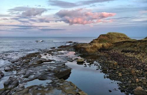 Dexters Den - Sea views, yards from Beach - Foto 14