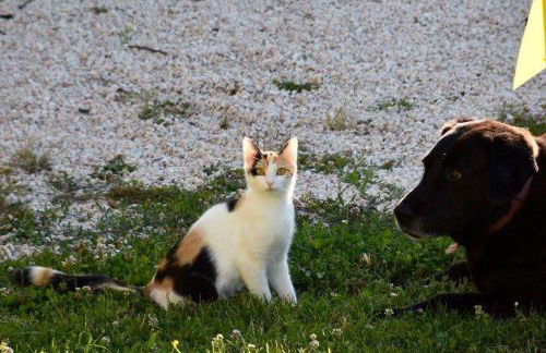 Agriturismo Santa Giusta - Foto 106