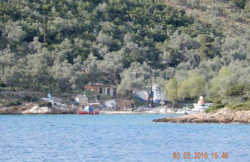 Argo - Mythos - Photo 24