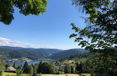 Gerardmer : Residence "l'eau vive" - Foto 16