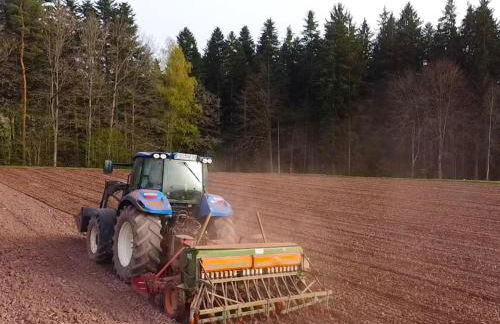 Waldacher Hof - Foto 13