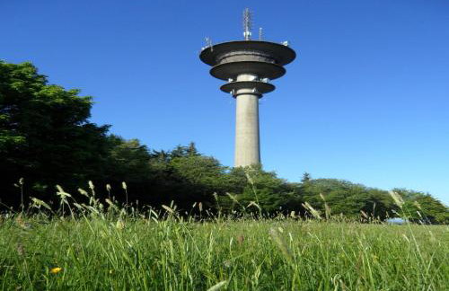 Dog-friendly Holiday Home in the Knull - Foto 17