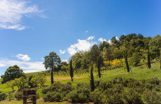 Agriturismo Il Cavicchio - Foto 37