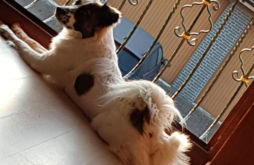 Museum Lust auf Zuhause Ferien in der Provinz - Foto 8