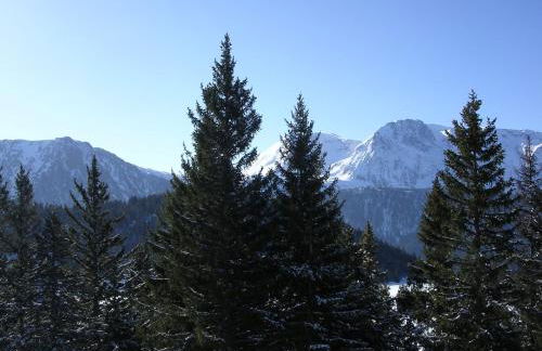Chamrousse 1700 - Les Domaines de LArselle - Silènes C32 - Classé 3 étoiles- Vue sur les montagnes - - Foto 10