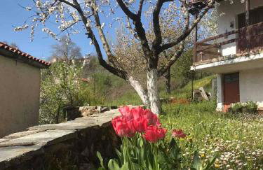 ΕΞΟΧΙΚΗ ΚΑΤΟΙΚΙΑ ΕΥΑΓΓΕΛΙΑ - Foto 18