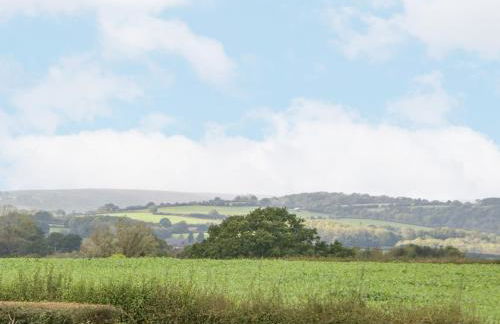 The Pheasant One - Foto 23