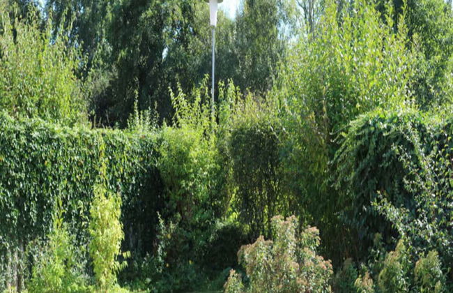 Borkum Ideal 71 A Comfortable Holiday Residence - Foto 21