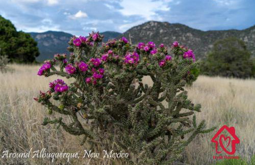 The Rose Garden Estate with Swim Spa - an Irvie Home - Foto 73