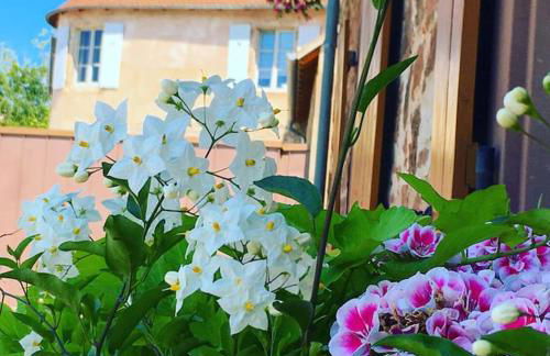 Gîte La Tour des Remparts Pool & Jacuzzi - Foto 14