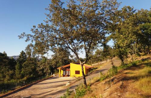 Casas de Canavezes - Foto 44