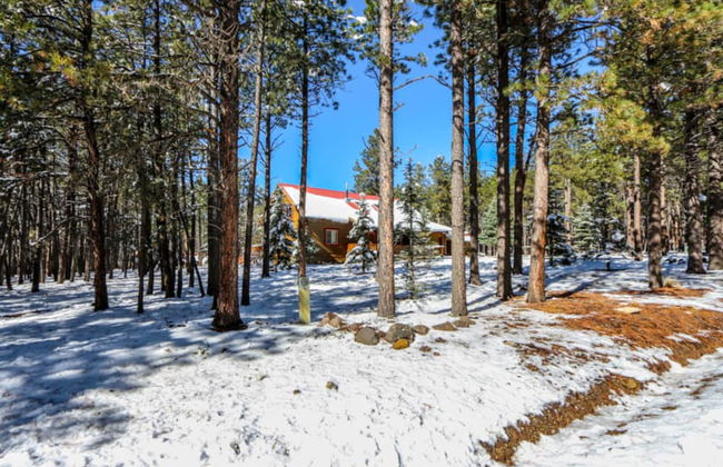 Webb Cabin Mountain - Foto 22