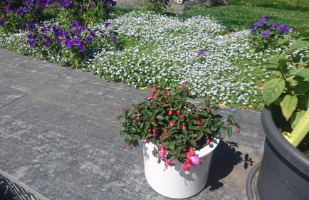 Ferienwohnung mit Garten und Spielplatz - Photo 4