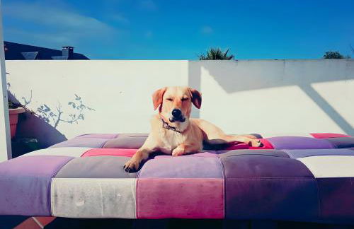 Villa Lukita - Foto 14