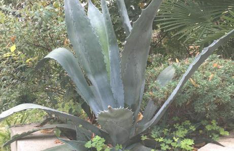 Secret Garden Apartment with private parking space - Photo 33