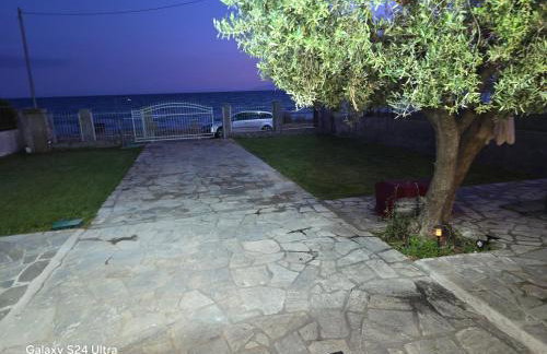 Athenas Vila - Foto 60