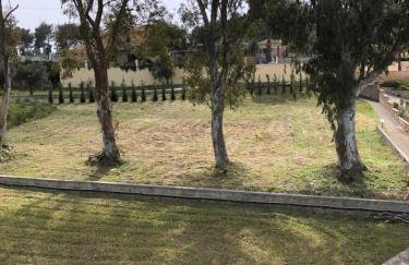 Aloni Studios and Apartments - Photo 10