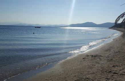 Farm Villa Dova - Foto 13