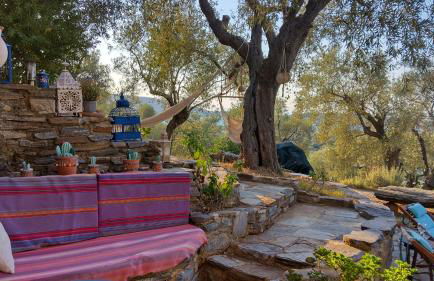 '' I FOLIA '' / ' 'LE NID '' - Foto 13