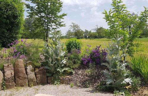 Les Vergers d'Epona "Fougerolles Haute-Saône" - Foto 2