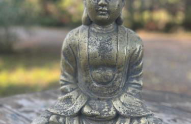 Aux portes de la Camargue studio balneo sauna et piscine - Foto 17