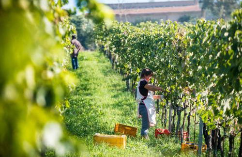 Tenuta Tralice - Foto 13