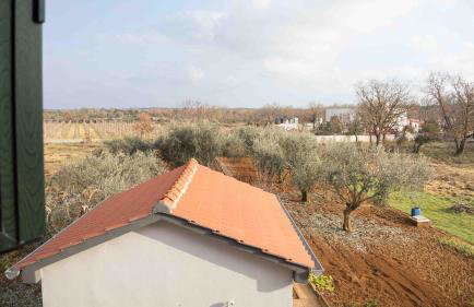 Zadar, Booking Zaton Villa Martinova holiday house with swimming pool - Photo 42