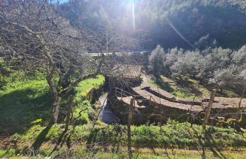 Quinta dos Milagres Casa dos Bigodes - Photo 21