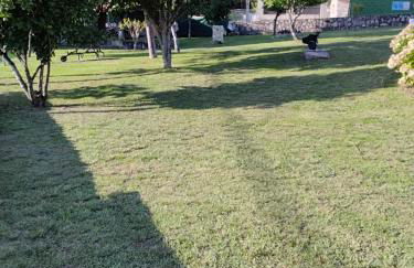 LA CAMELIA - Foto 47