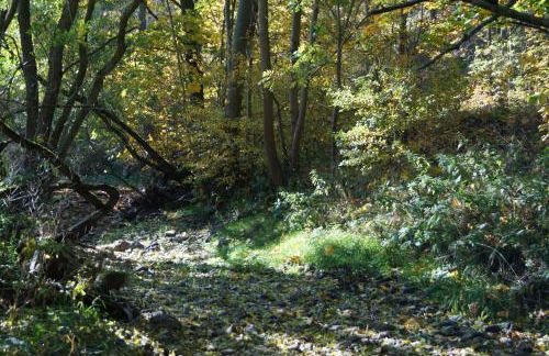 Ferienhof"WaldEsel Rippersroda" - Foto 22