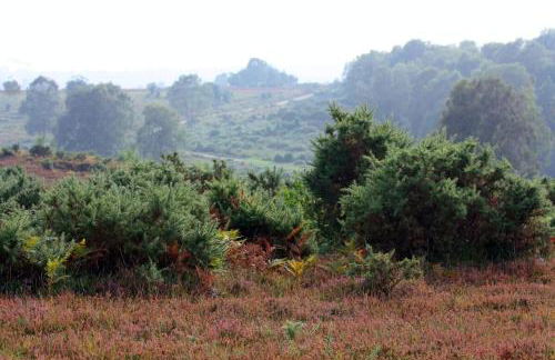 Perfect holiday Home from Home , three bedroom house for 5 guests - Foto 26