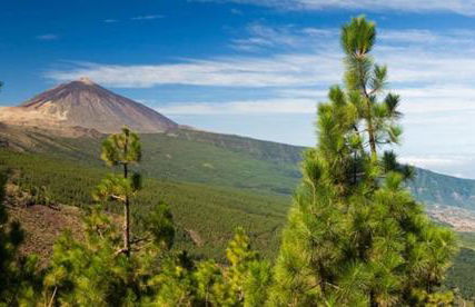 Luxurious villa in Puerto de la Cruz with pool and great views - Foto 31