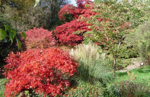 The Clock House - Foto 18