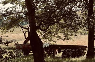 Il Felcino - Photo 16