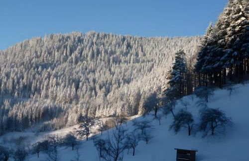 Holderstanzenhof - Foto 19