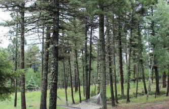 Carpe Diem Home - Foto 13