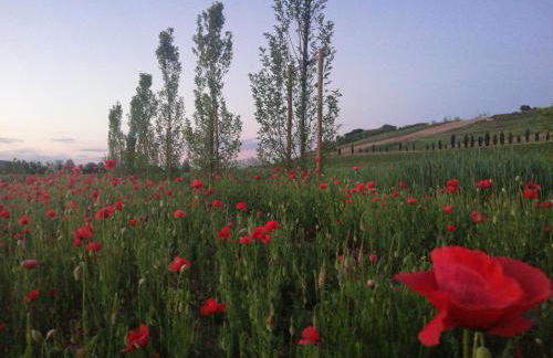 Corte Monticello - Foto 22