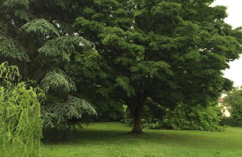 Barchessa Rossetti - Photo 29