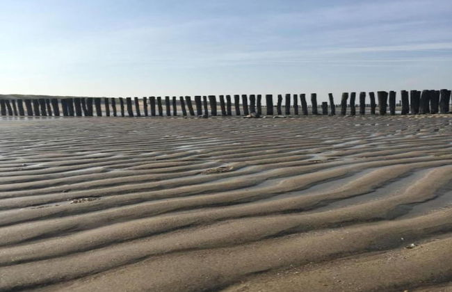 Sunny Zeeland Getaway - Foto 22