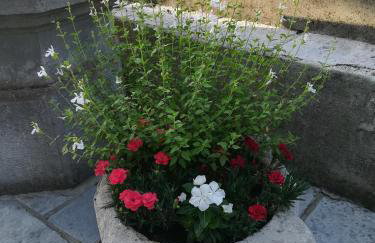 Apartment Belici - Foto 39