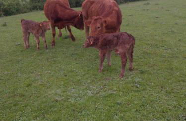 Casa Rural el Ribero I - Photo 38