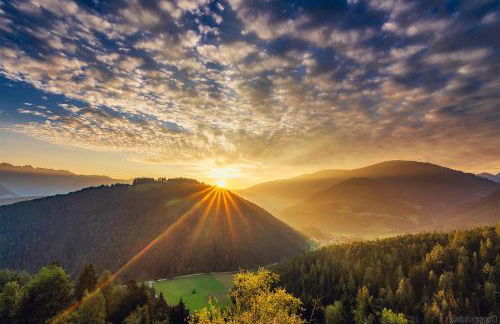 Kehrerhof Urlaub auf dem Bauernhof - Photo 4