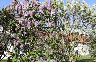 Aux couleurs de la Baie à Sailly-Bray - Foto 9
