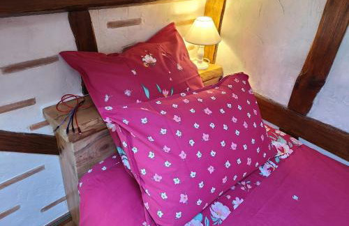 - - - - -Les Colombages - - - - Chambre d'hôtes-Gîte- Classement Gîte 3 étoiles - Foto 63