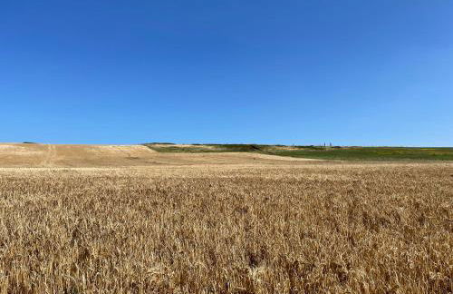 Jolie maison à Equihen-Plage - Foto 55