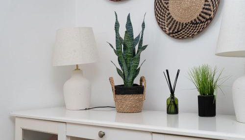 Falcon Terrace - Photo 3